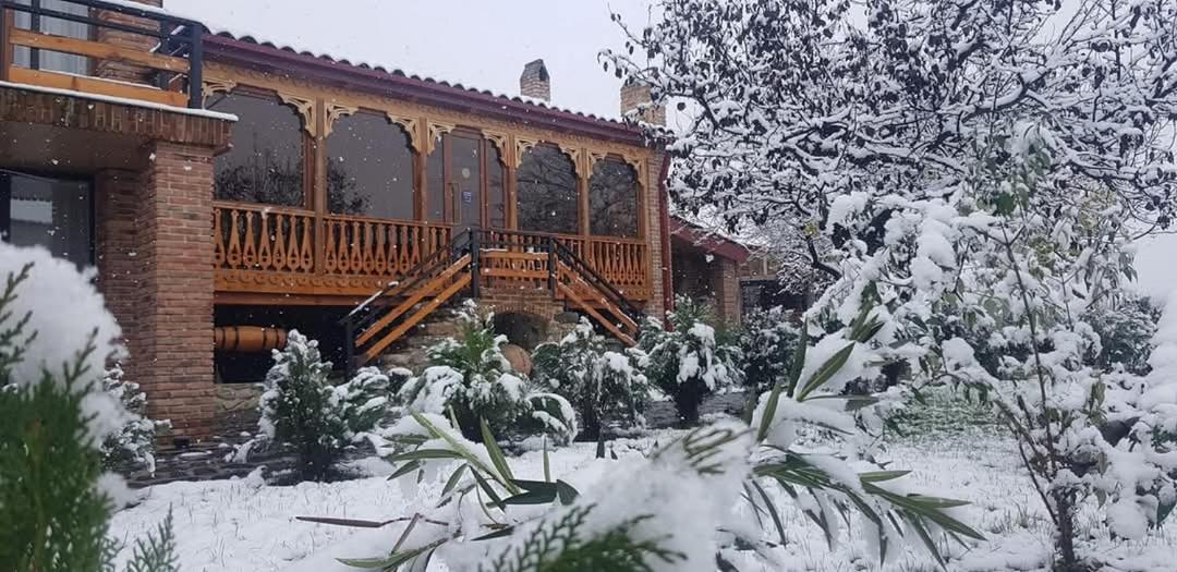 Chateau Ikalto Exterior foto
